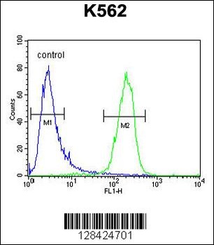 SLC25A52 Antibody