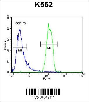 OR2M3 Antibody