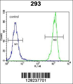OR10H1 Antibody