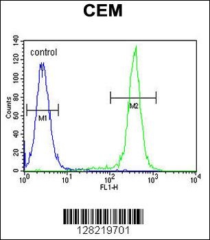 CCDC122 Antibody