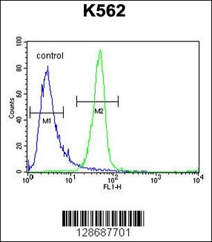 ANR52 Antibody