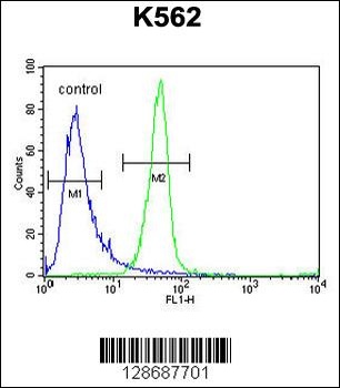 ANKRD52 Antibody