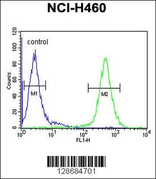 ACAD10 Antibody