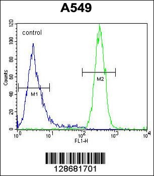 SYNC Antibody