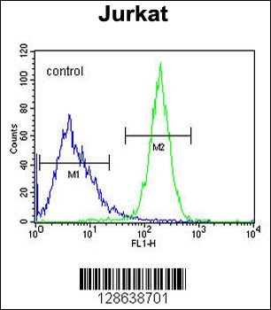 CWC22 Antibody