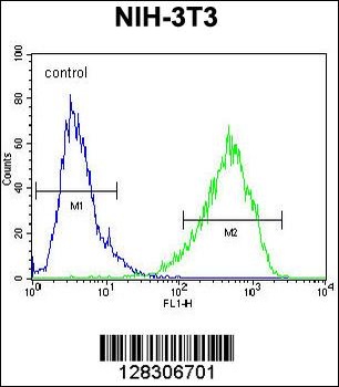 HOMEZ Antibody