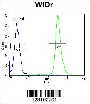 ZC4H2 Antibody