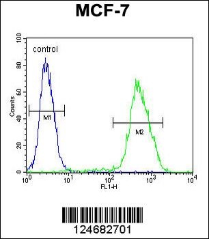 LMO4 Antibody