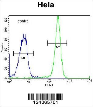 HYAL2 Antibody