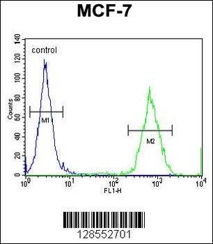 GPD1L Antibody