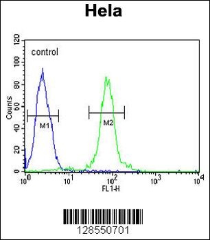 FBXW8 Antibody