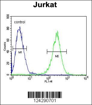 MPP1 Antibody