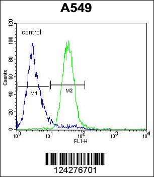 C5AR1 Antibody