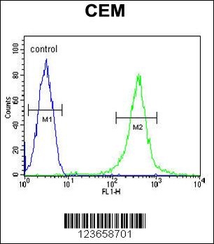 AMY2B Antibody