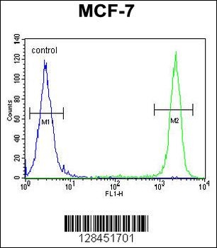 SEL1L Antibody