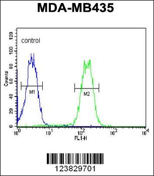 LYRM4 Antibody