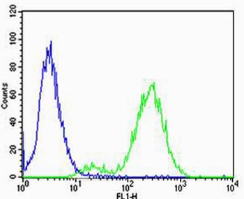 CNR2 Antibody