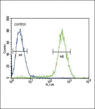 CNR2 Antibody