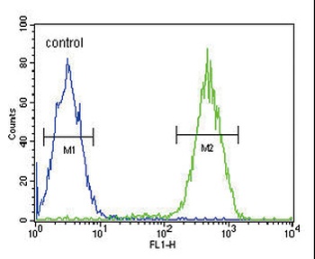 ITGAM Antibody