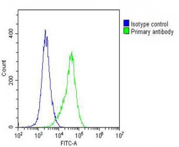 ARV1 Antibody