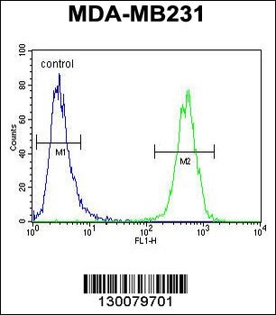 HHLA2 Antibody