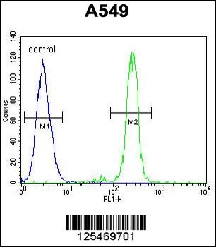 CEP70 Antibody