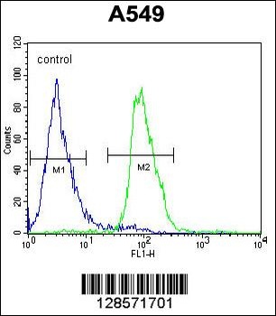 WDR32 Antibody