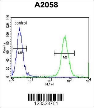 CCDC148 Antibody