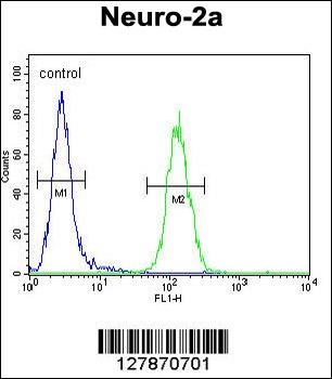 LCN10 Antibody