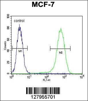 NUDT8 Antibody