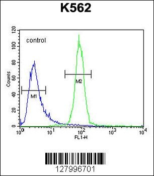 OR52A1 Antibody