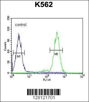 RTP4 Antibody