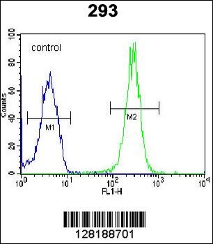 LRRC57 Antibody