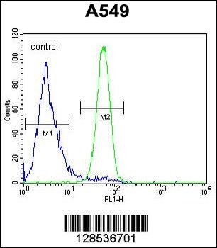 FSTL1 Antibody