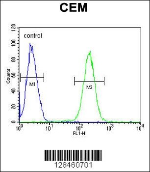 HTR3E Antibody