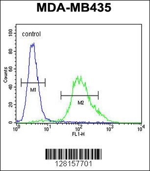 ZNF98 Antibody