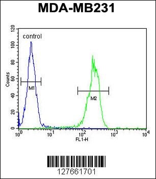 MYSM1 Antibody