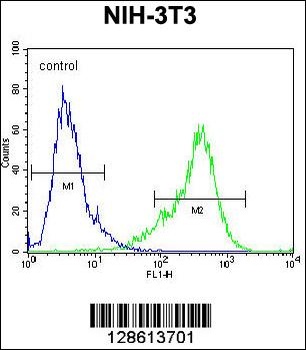 KIAA1609 Antibody