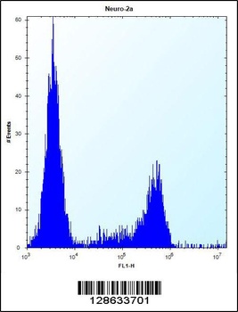 CASC4 Antibody