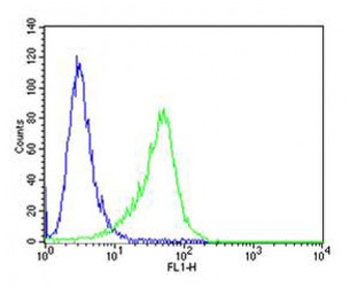 MB21D1 Antibody