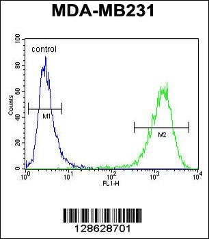 CF150 Antibody