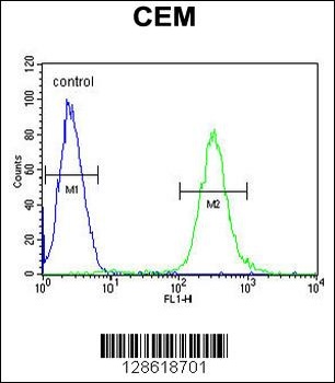 ATF7IP2 Antibody