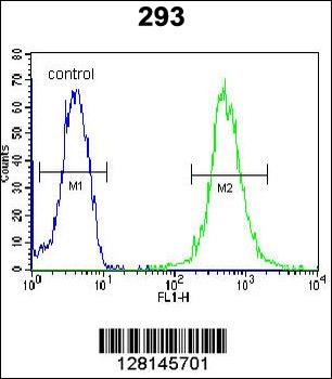 WDR48 Antibody