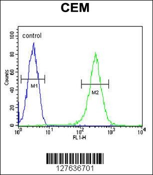 INPP5B Antibody