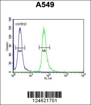 GNAT3 Antibody