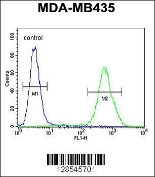 DEM1 Antibody