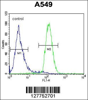 LILRA2 Antibody