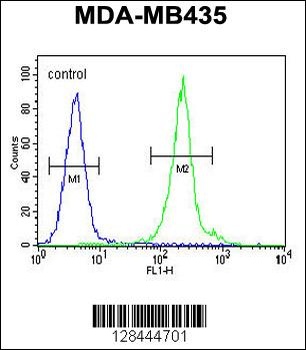 IL12B Antibody