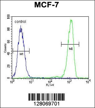 RABGAP1 Antibody