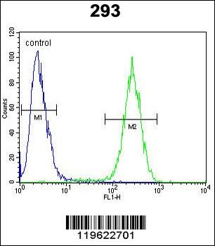 ENSA Antibody